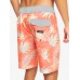 Μαγιό Quiksilver Surfsilk QS 69 19" Boardshorts